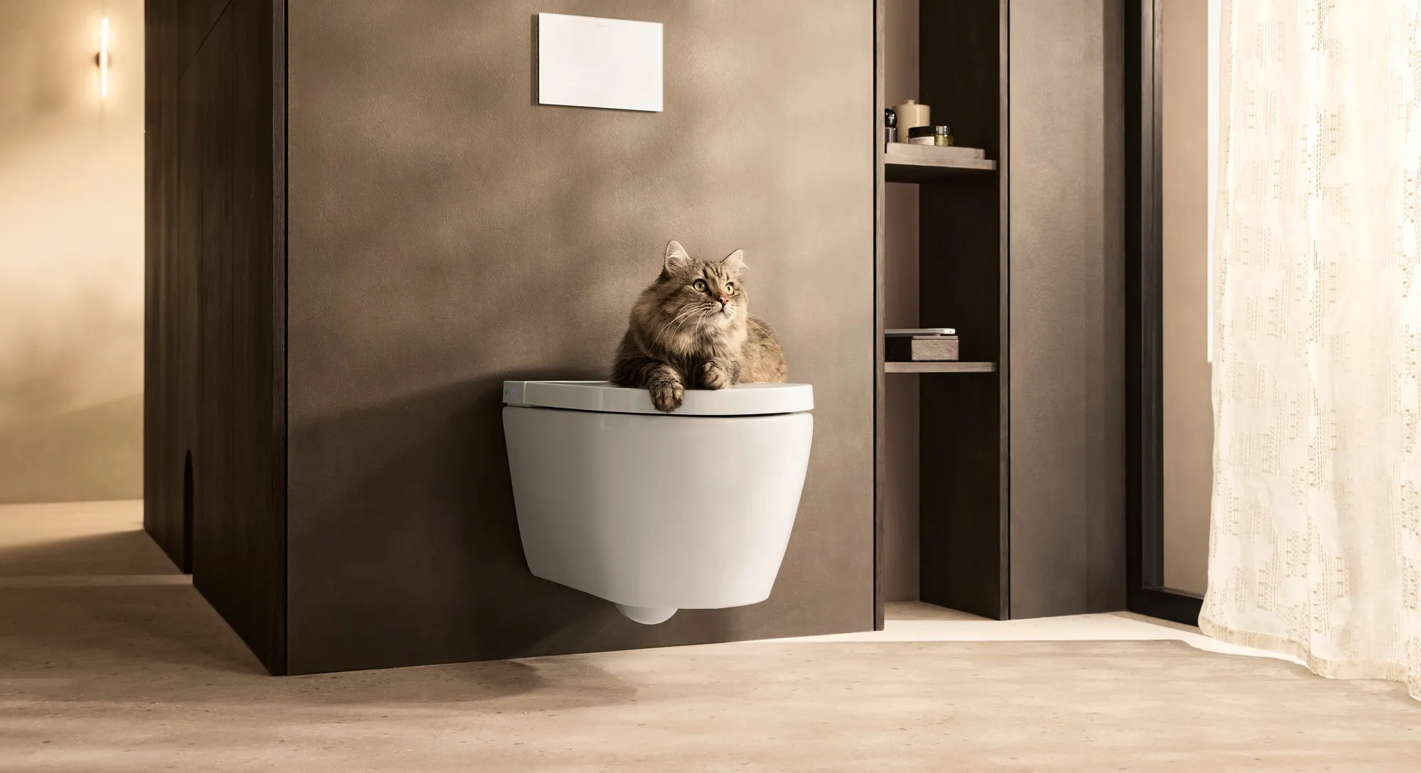 Header mit einem Duravit SensoWash® Starck f Dusch-WC als wandhängendem WC im modernen Badezimmer mit sitzender Katze auf dem geschlossenen Deckel.